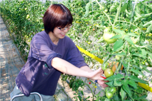 朝どり新鮮野菜に思わずニッコリ