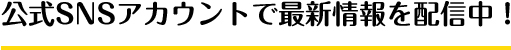 公式snsアカウントで最新情報を発信中！